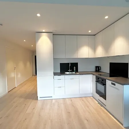 Modern With Two Bedrooms Apartament Moelv